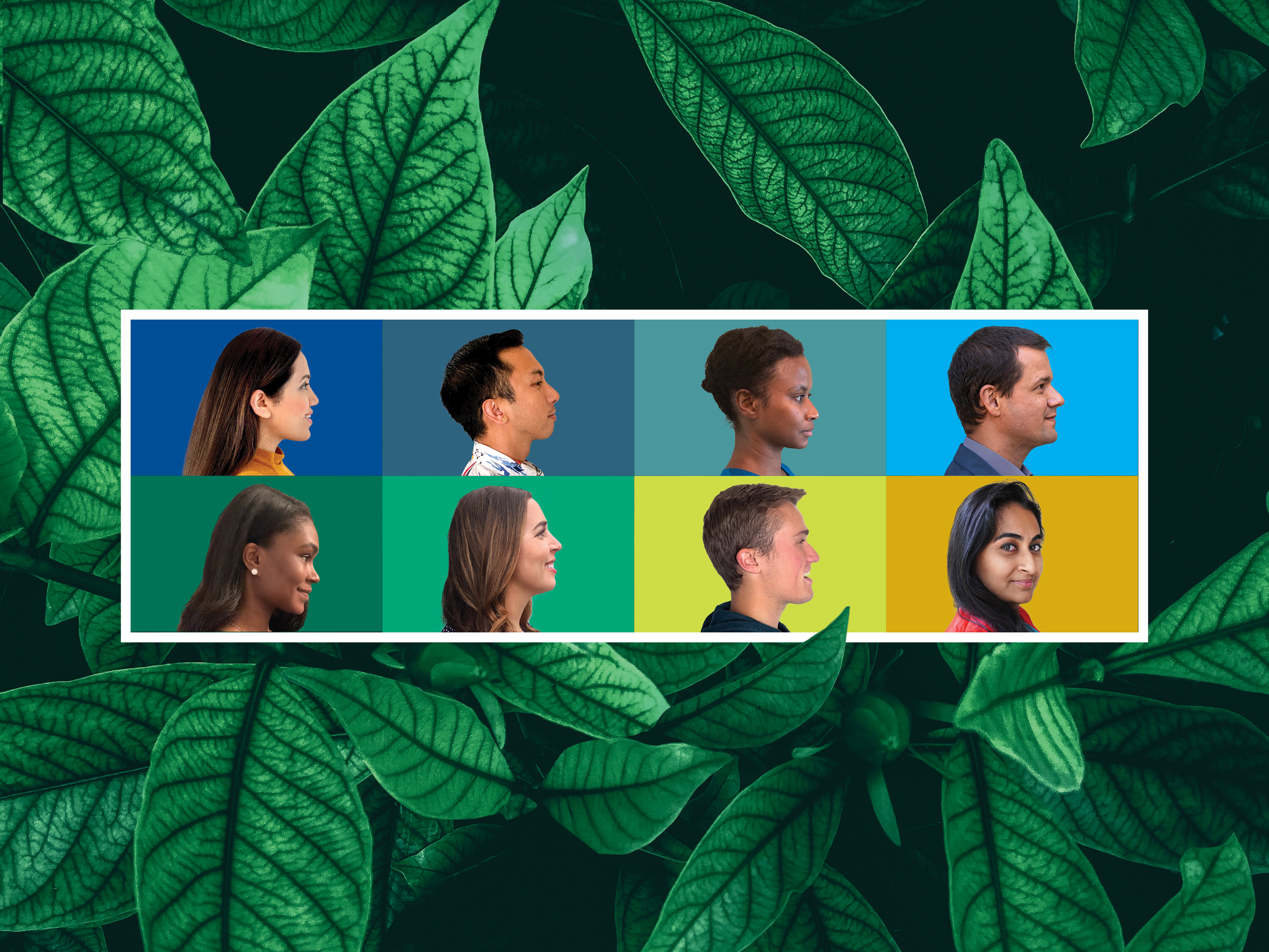 Composite image of 8 young climate professionals