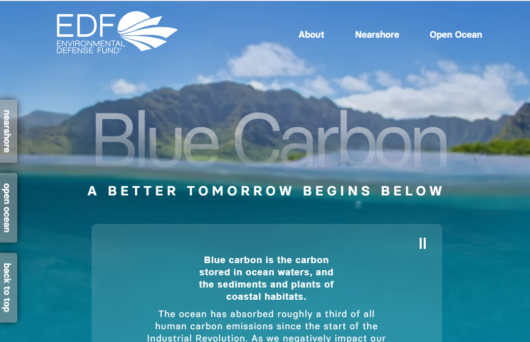 Blue carbon landing page screenshot