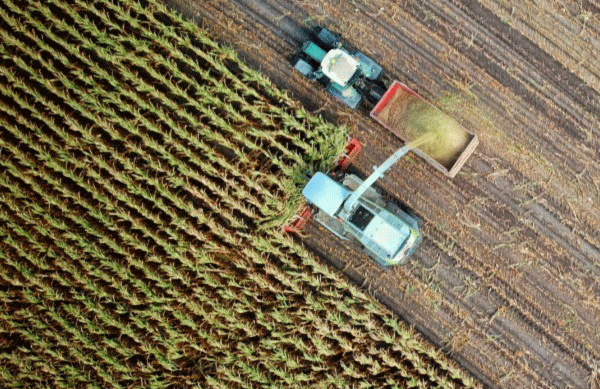 View from above of trucks on farmland